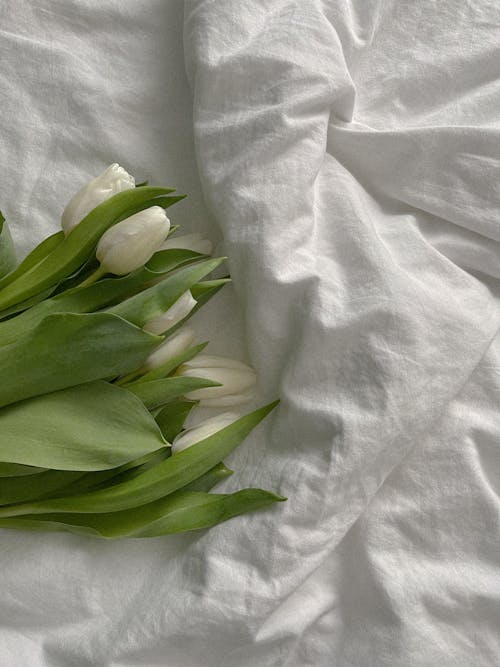 Florals στα Λευκά Είδη: Ανανεώστε το Σπίτι σας με Στυλ και Άρωμα Άνοιξης 🌸