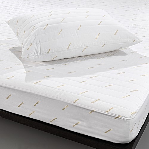 Προστατευτικό Κάλυμμα Μονό Guy Laroche Καπιτονέ 100Χ200Χ28