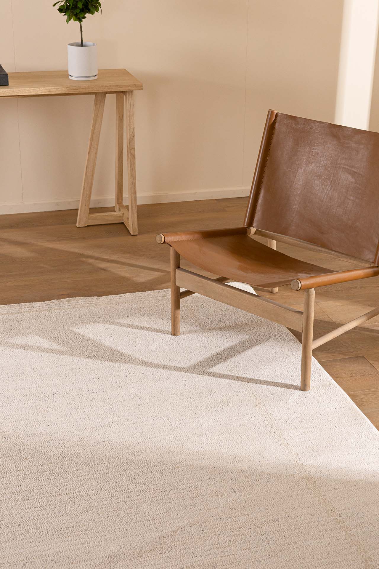 Χαλί Matisse 37208 Royal Carpet - 200 x 290 cm
