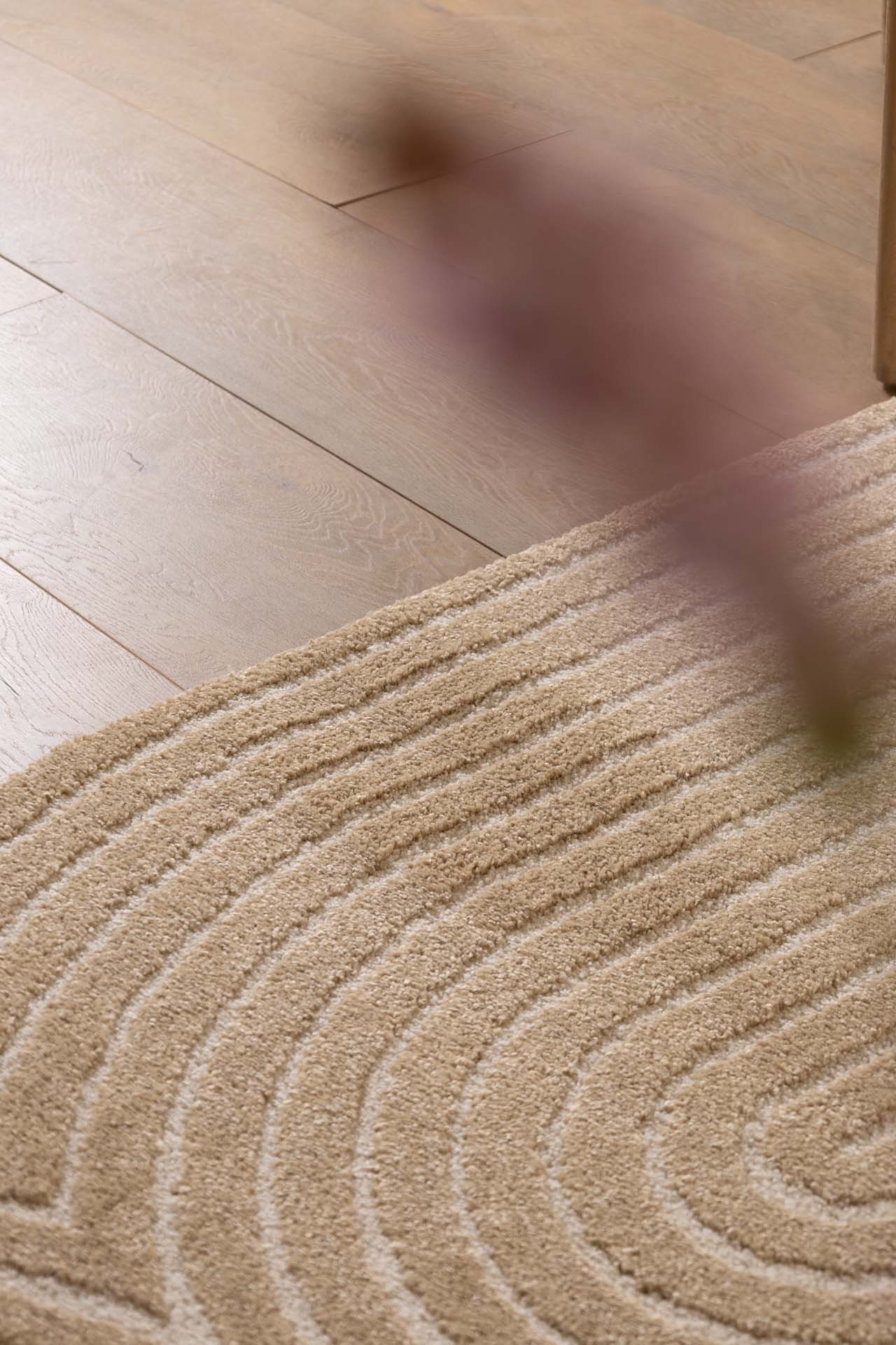 Χαλί Cocoon 59602 861 Royal Carpet - 200 x 290 cm