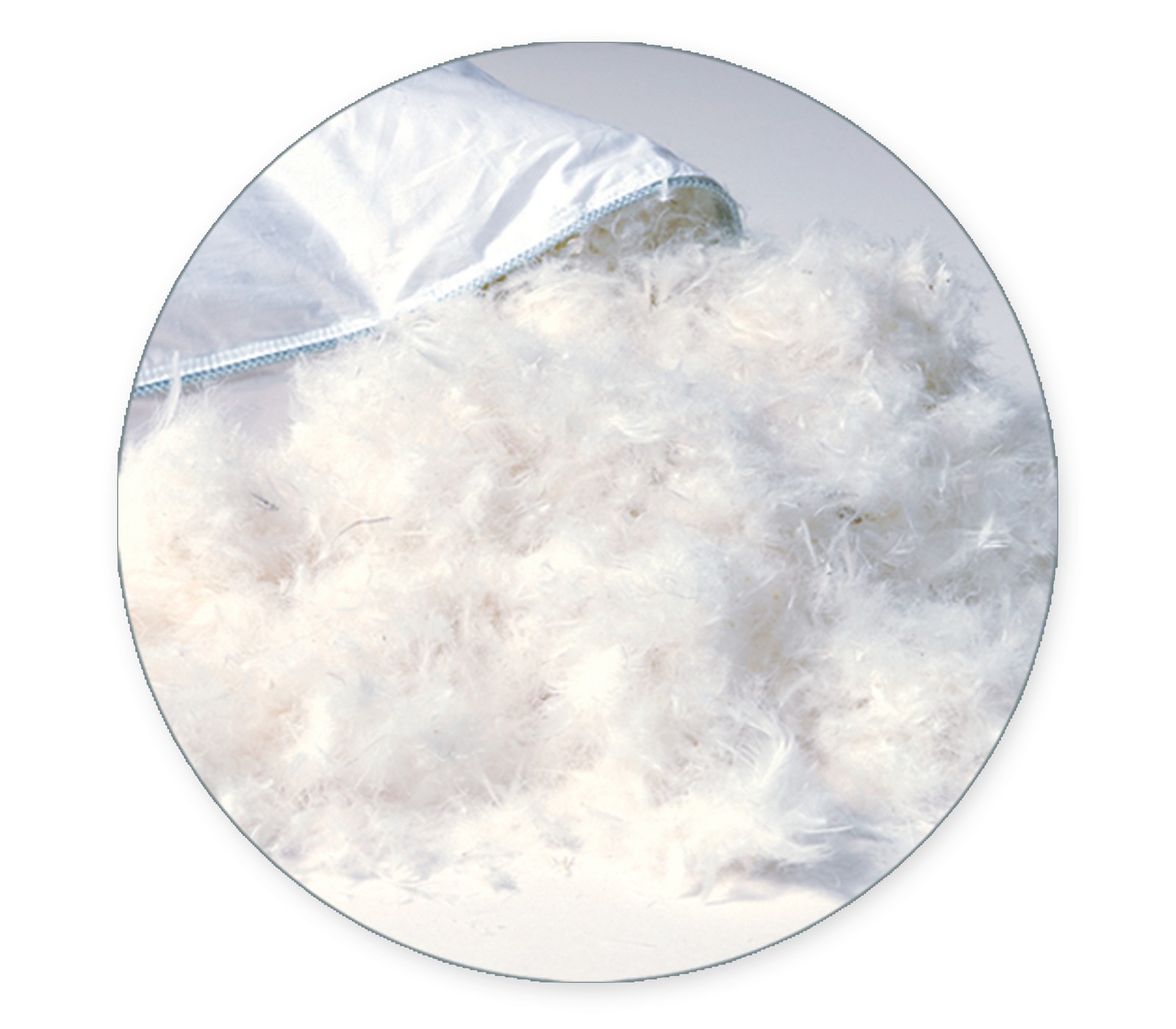 Πουπουλένιο Μαξιλάρι Nef-Nef (ΠΟΥΠΟΥΛΟ 50% & ΦΤΕΡΟ 50%) 50Χ70